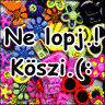 ne_lopj.gif